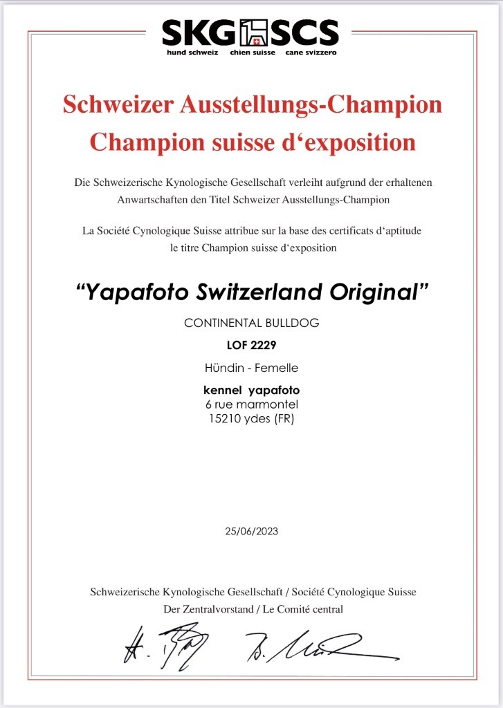 Yapafoto - Buffy en Suisse 