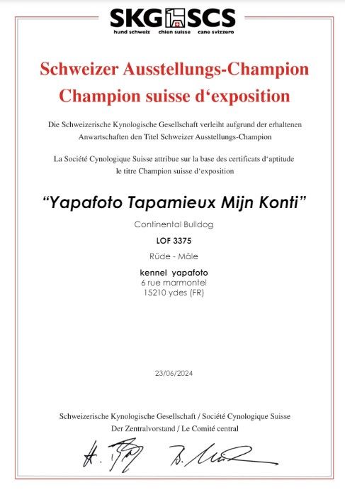 CH. Yapafoto Tapamieux mijn konti