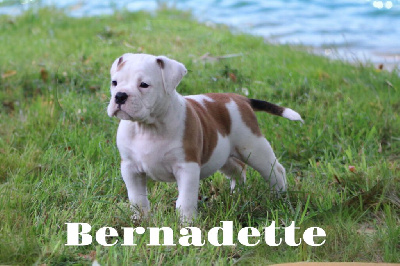 Bernadette