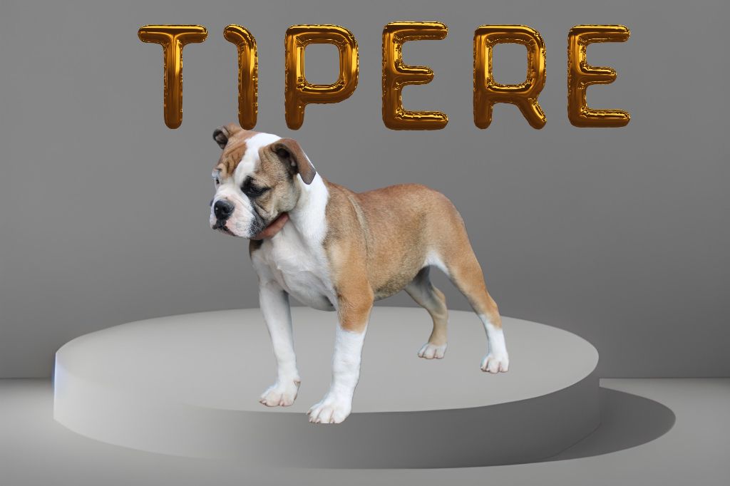 Yapafoto Un ty'père
