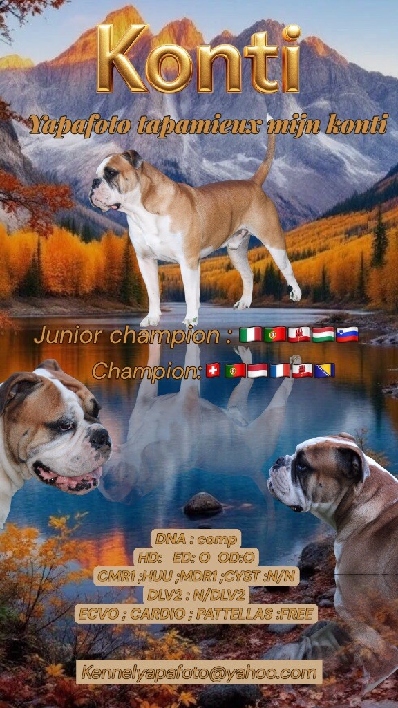 CH. Yapafoto Tapamieux mijn konti