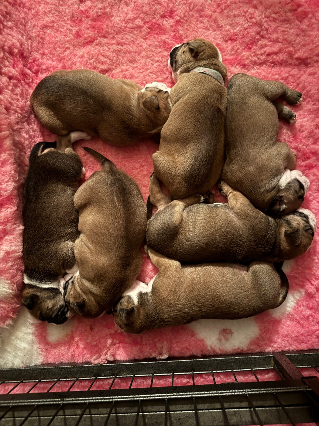 15 jours pour les filles .