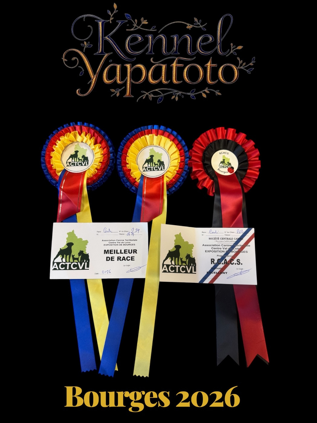 Konti continue sa route