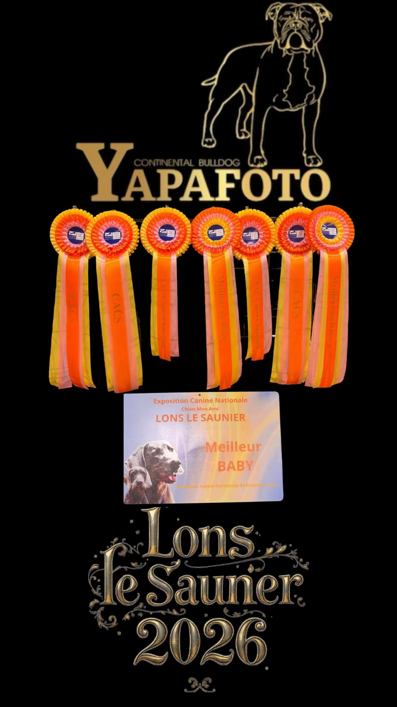 Exposition nationale dans le Jura