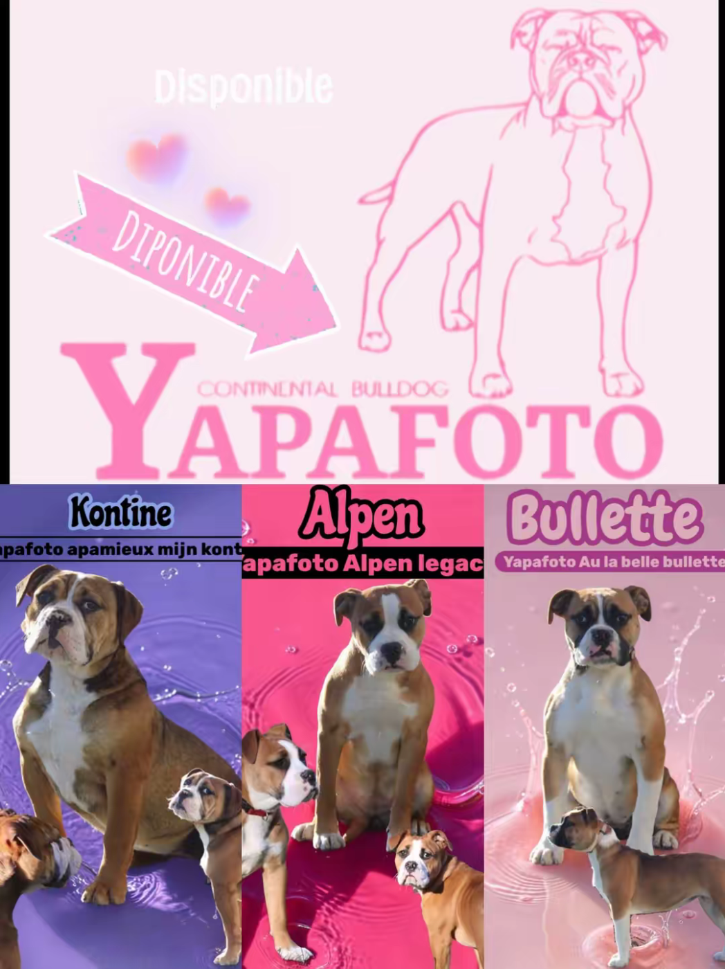 Nos filles vous attendent ;)