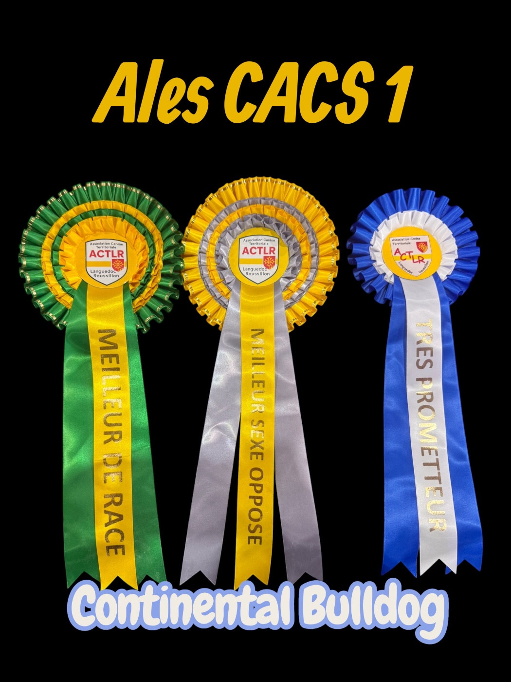 Double CACS à Alès