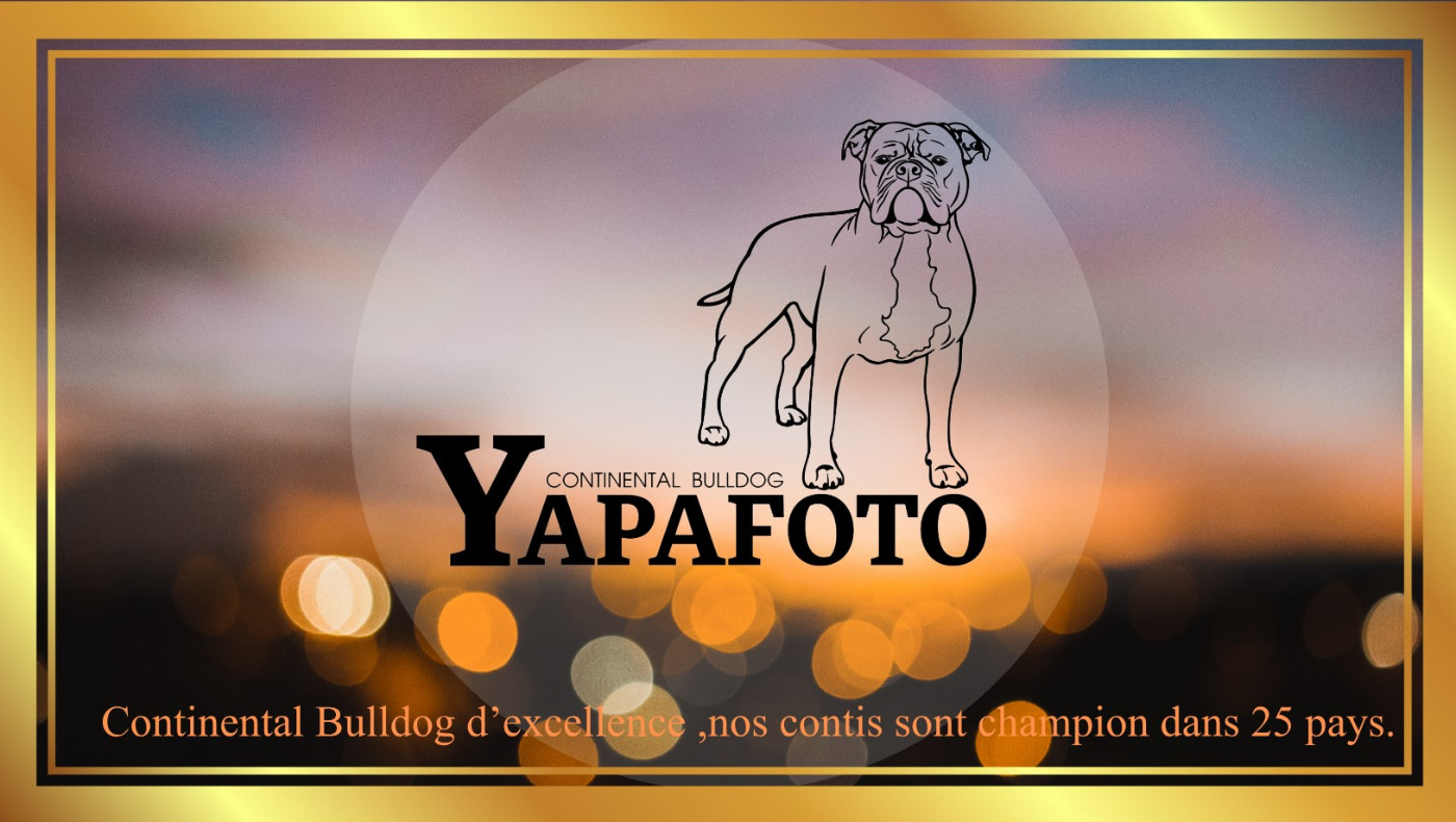 Yapafoto - Le team de filles à Langon (33)
