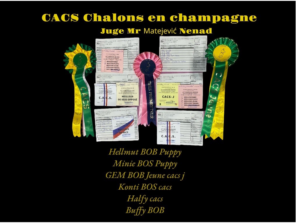 Châlons en champagne (51)