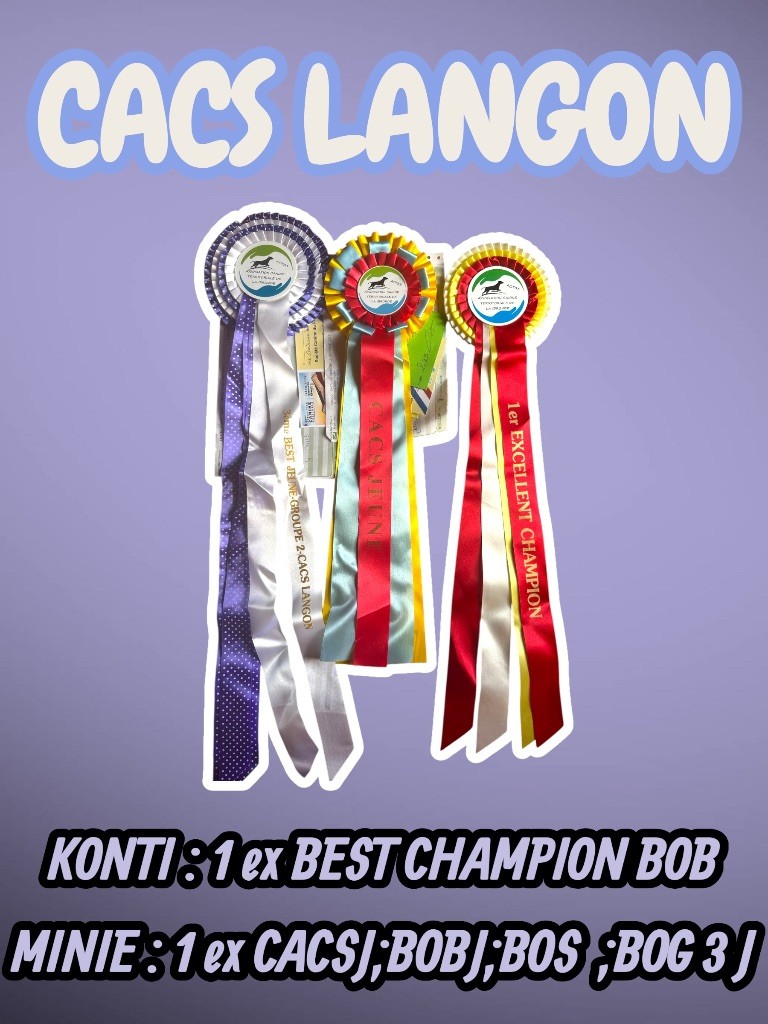 CACS De Langon avec Konti et Minie