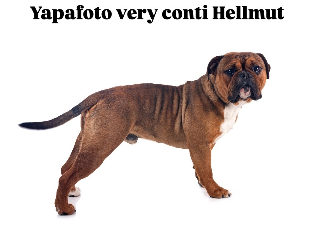Hellmut pour une belle famille 5 étoiles 