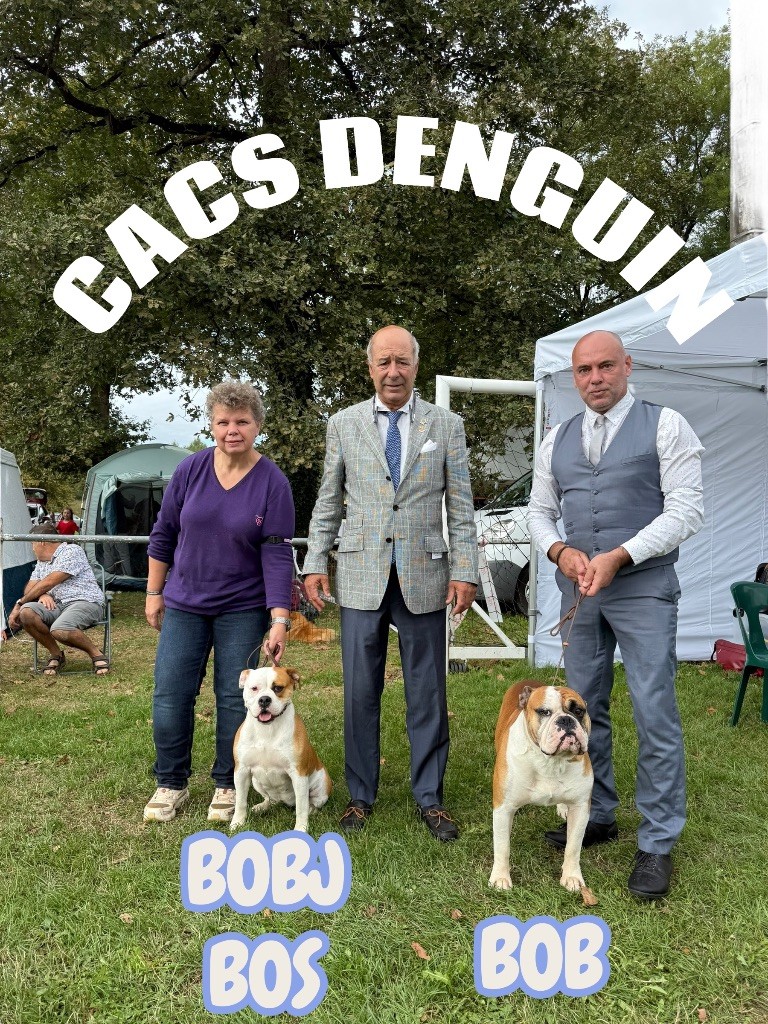Konti & Sweet à Denguin (64) 